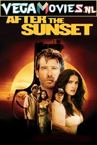 Download  After the Sunset (2004) Dual Audio {Hindi-English} 480p [350MB] | 720p [800MB]