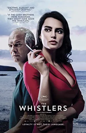 Download  The Whistlers (2019) Dual Audio {Hindi-English} 480p [350MB] | 720p [900MB]