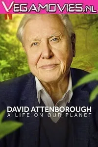 Download NetFlix David Attenborough: A Life on Our Planet (2020) English 480p [400MB] | 720p [800MB]