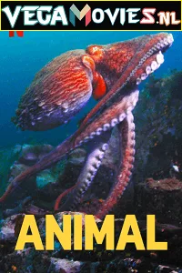 Download Netflix Animal (Season 1-2) Dual Audio {Hindi-English} 480p [500MB] | 720p [1GB] HDRip