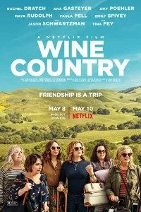 Download Wine Country (2019) Dual Audio {Hindi-English} 480p [400MB] | 720p [1GB] BluRay