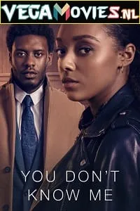 Download You Don’t Know Me (Season 1) Dual Audio [Hindi-English] Complete Netflix Web Series 480p | 720p | 1080p WEB-DL