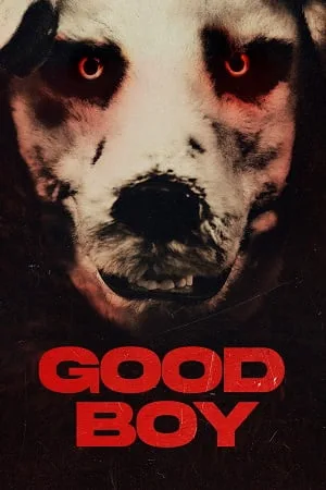 Download Good Boy (2022) Dual Audio [Hindi + Norwegian] BluRay 480p [350MB] | 720p [750MB] | 1080p [1.7GB]