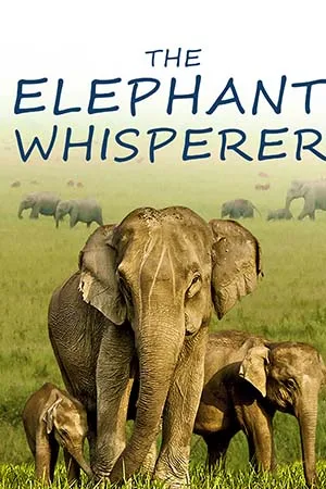 Download The Elephant Whisperers (2022) WEB-DL Dual Audio {Hindi + English} 480p [300MB] | 720p [470MB] | 1080p [1.4GB] | 2160p 4K [4.1GB]