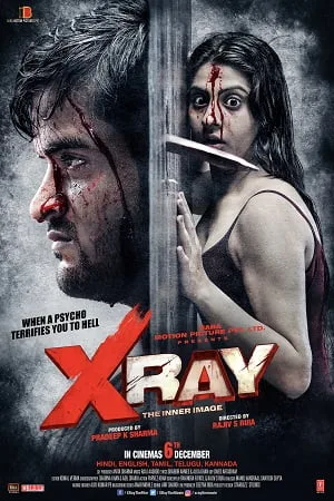 Download X Ray: The Inner Image (2019) Hindi Full Movie 480p [300MB] | 720p [1GB] HDRip